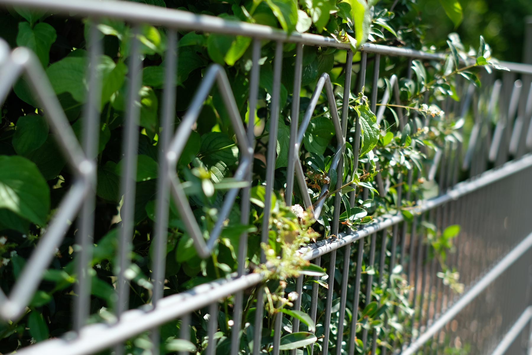 Grunert Zaunbau In Schrobenhausen